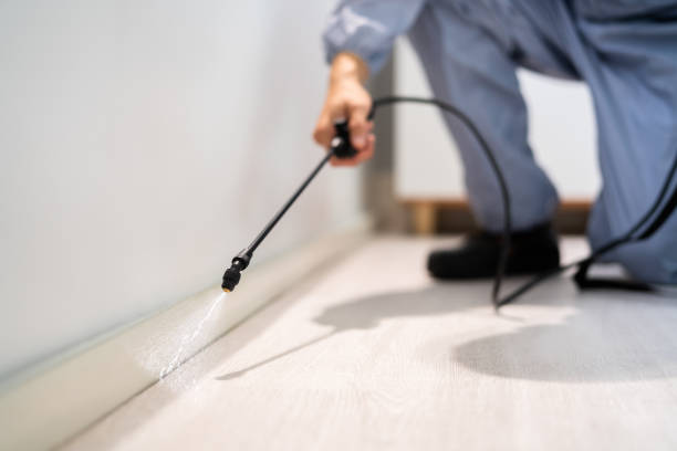 Licensed Pest Control service in Harvey, MI - Show Me Pest Control