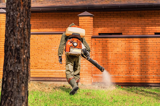 Bed Bug Clearance Verification and Documentation in Harvey